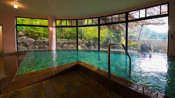 Una piscina interior con agua cristalina, rodeada de grandes ventanales que ofrecen vistas a un jardín con rocas y follaje.