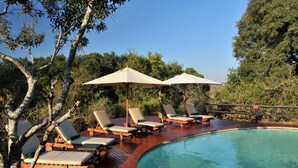 Pool - Hamiltons Tented Camp (KRUGER NATIONAL PARK)