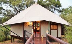 A tent with a wooden staircase leading to the entrance, surrounded by trees. - Hamiltons Tented Camp (KRUGER NATIONAL PARK)