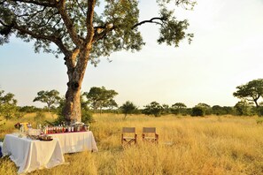 An outdoor dining setup with a table and chairs under a large tree, surrounded by a grassy field and trees in the background. - Hamiltons Tented Camp (KRUGER NATIONAL PARK)