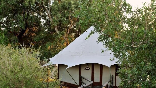 View from property - Hamiltons Tented Camp (KRUGER NATIONAL PARK)