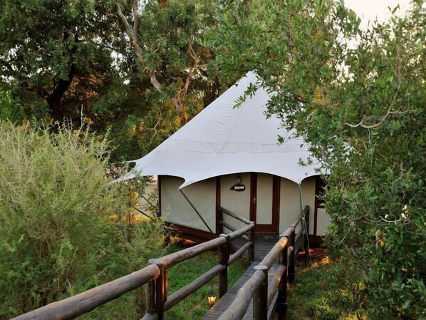 View from property - Hamiltons Tented Camp (KRUGER NATIONAL PARK)