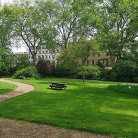 A park with a picnic table surrounded by lush green grass and trees.