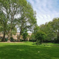 Ein Park mit großen Bäumen, einer Rasenfläche und einem Gebäude im Hintergrund.