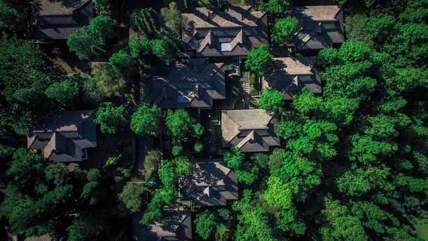 Vista aérea de una zona residencial con varias casas rodeadas de abundante vegetación.