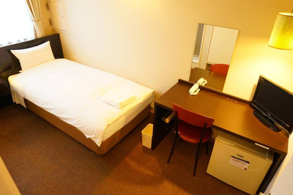A hotel room with a bed, a desk with a chair, a television, and a mirror.