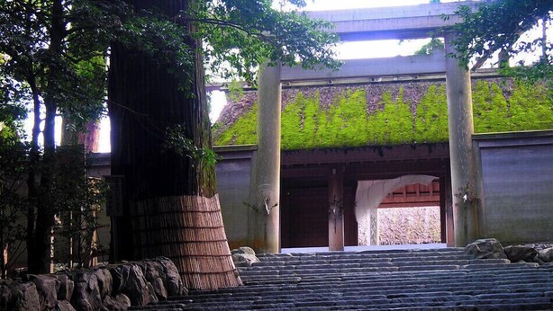 A stone staircase leading to a traditional building entrance with a moss-covered roof and wooden pillars.