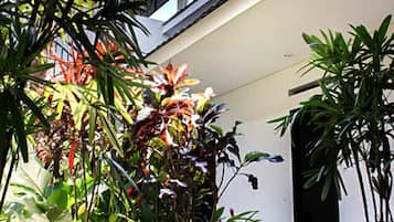 Lorong