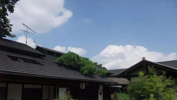 A traditional Japanese building with a sloped roof, a covered entrance, and a garden area with various plants. - Araki Kosen (Chichibu)