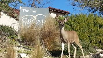 A sign for "The Inn Croad Vineyard" with a deer in the foreground.