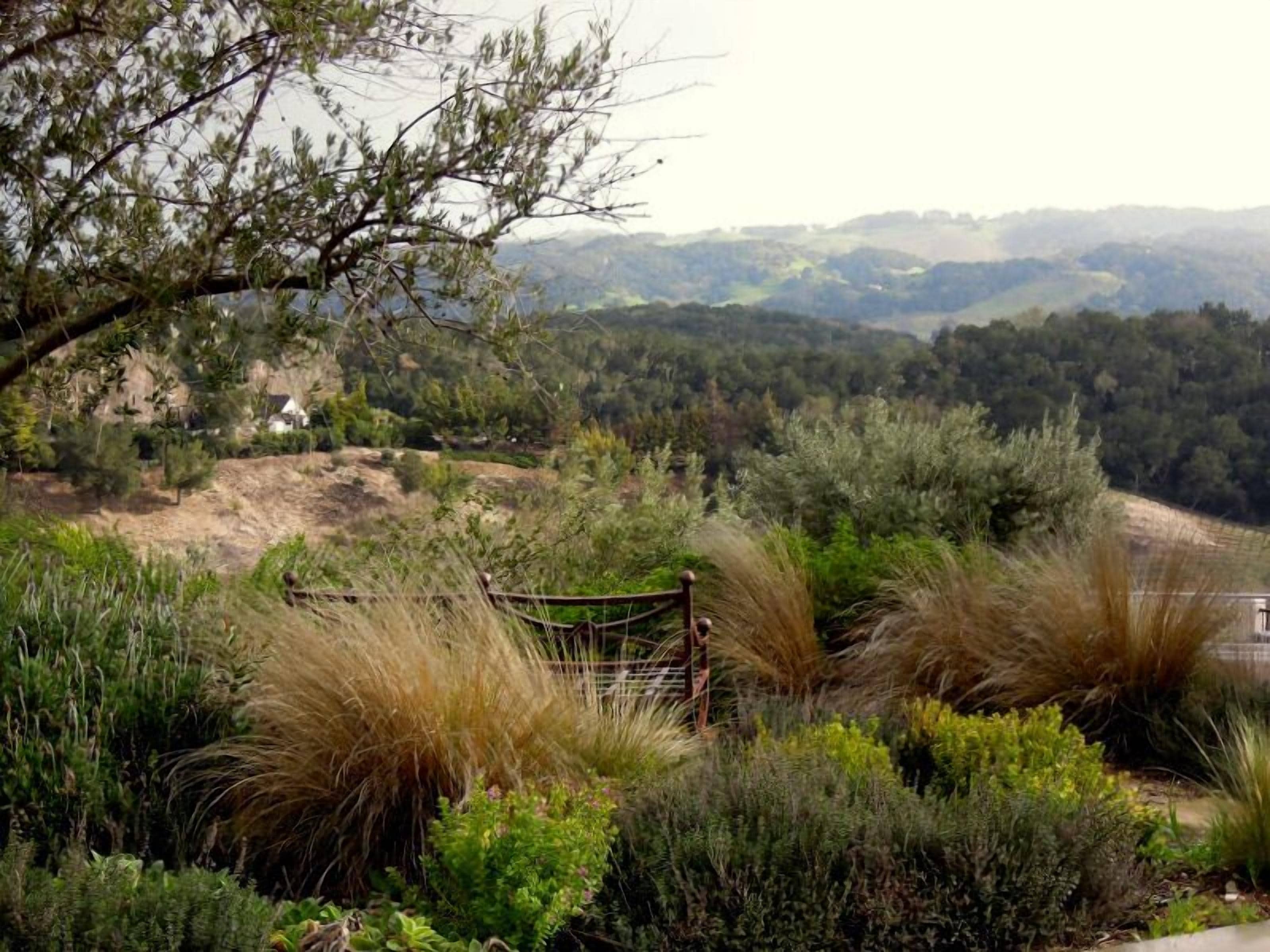 A natural landscape with a wooden fence, dense vegetation, and a distant view of hills.