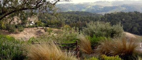 A natural landscape with a wooden fence, dense vegetation, and a distant view of hills.