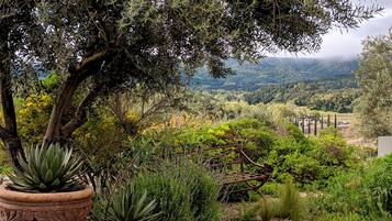 Jardí amb plantes en testos i una banca amb vista a un paisatge idíl·lic.