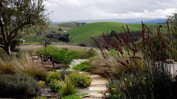 A pathway leading through a landscaped garden with a wooden bench and various plants.