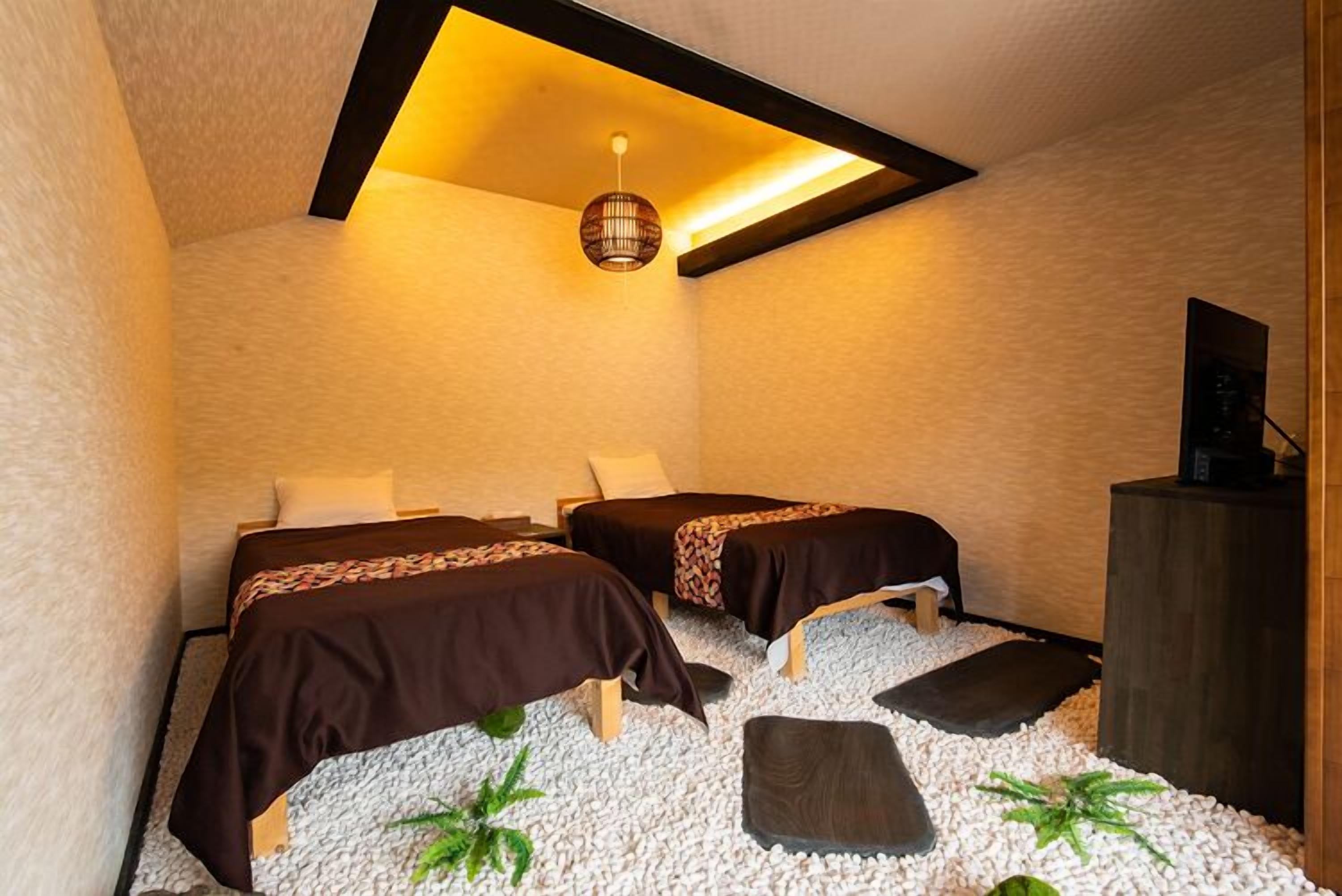 Une chambre avec deux lits, un luminaire au plafond et une petite plante.
