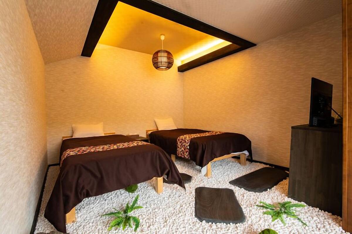 A room with two beds, a ceiling light, and a small plant.