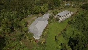 An aerial view of a property with two buildings, surrounded by dense greenery. - Dave Parker's Eco Lodge (Apia)