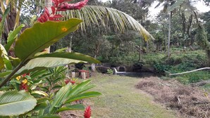 A natural landscape with a small waterfall, dense greenery, and a red structure in the background. - Dave Parker's Eco Lodge (Apia)