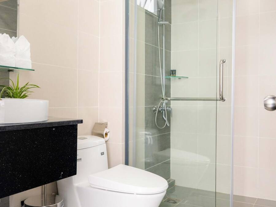 A modern bathroom with a glass-enclosed shower, a white toilet, and a black countertop with a plant.