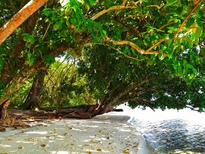 Private beach nearby, white sand, scuba diving