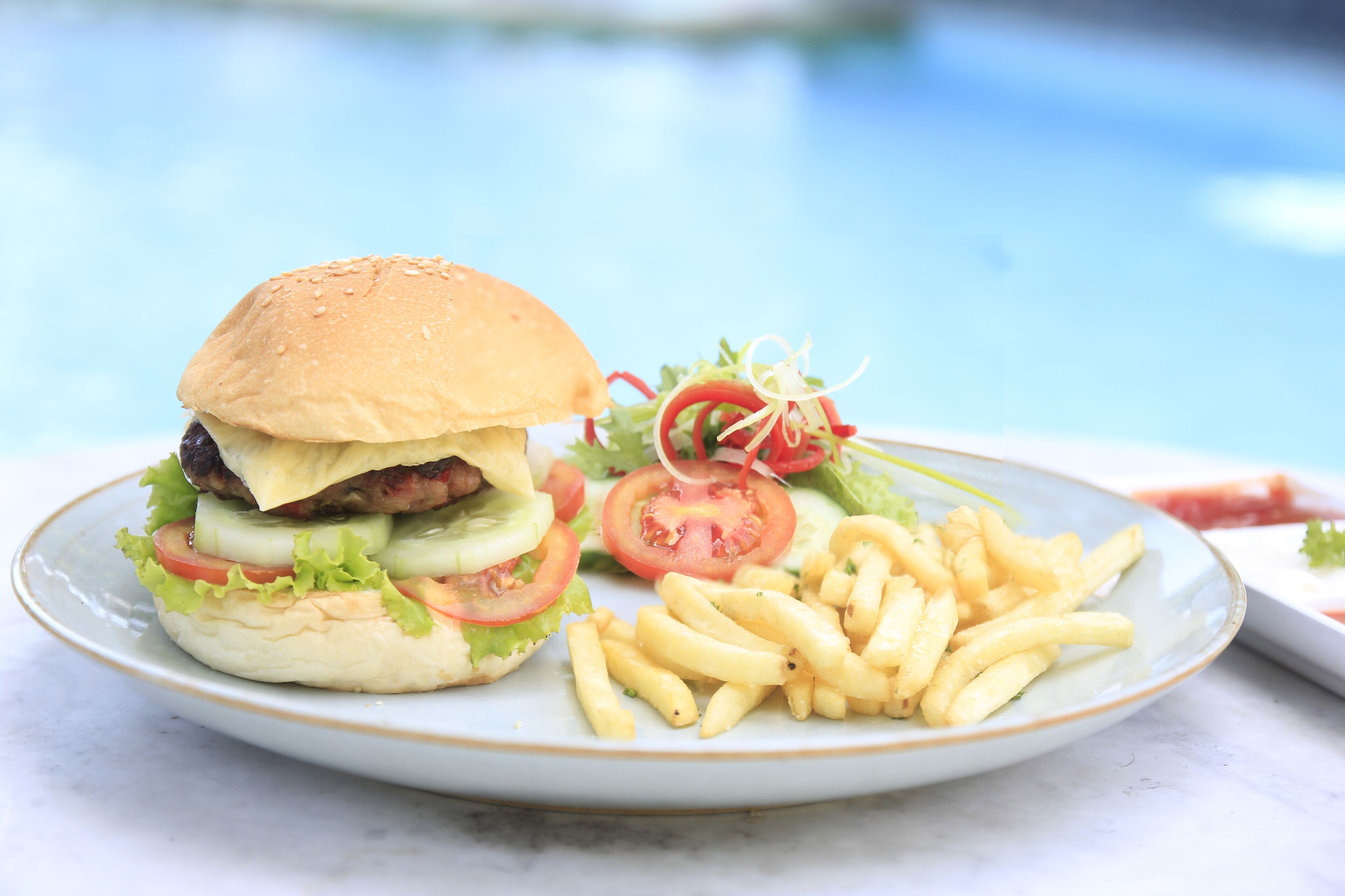 Une assiette avec un hamburger et des frites.