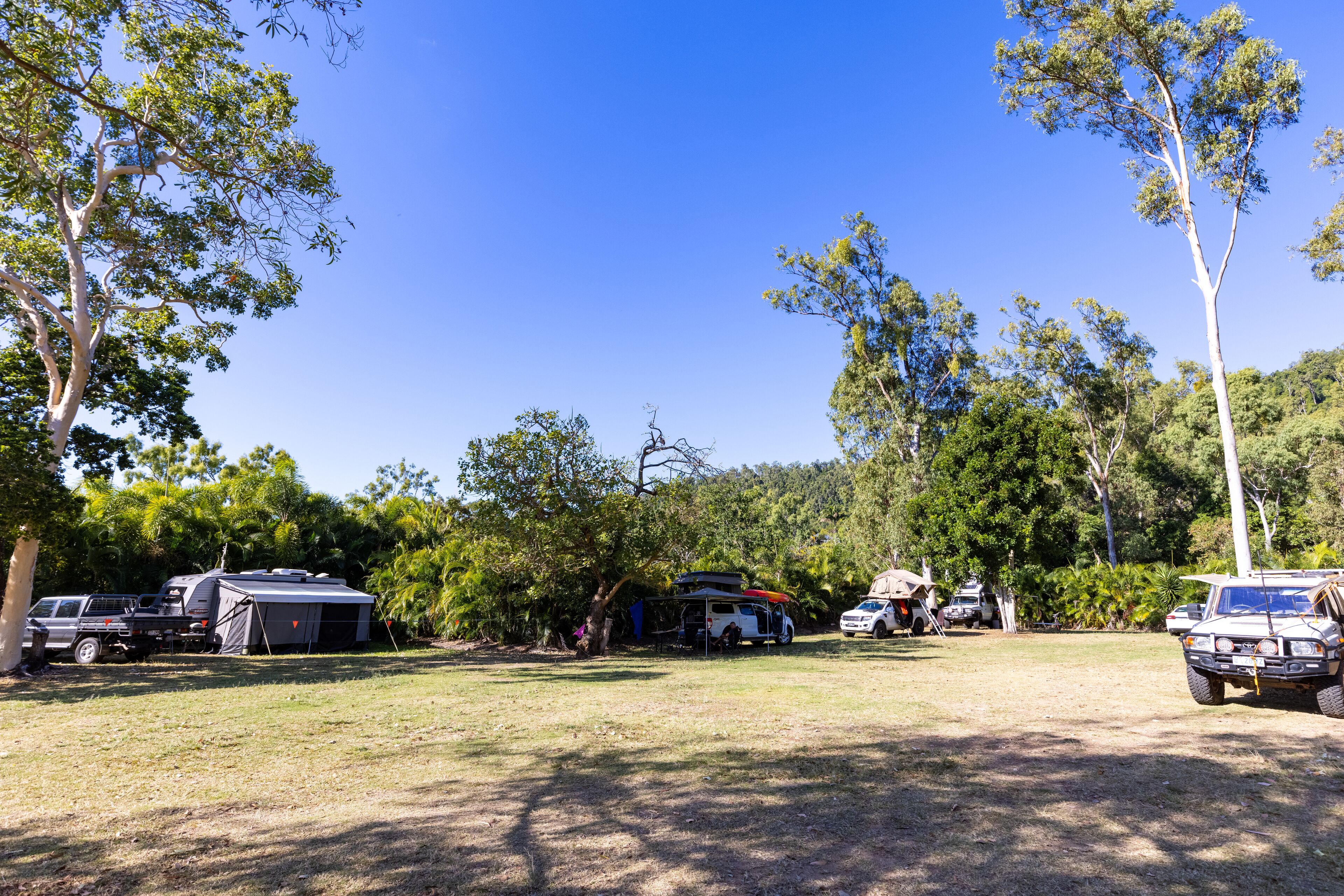 Un terrain de camping comprenant plusieurs camping-cars et tentes, entouré d’arbres et bordé de vastes espaces herbeux.