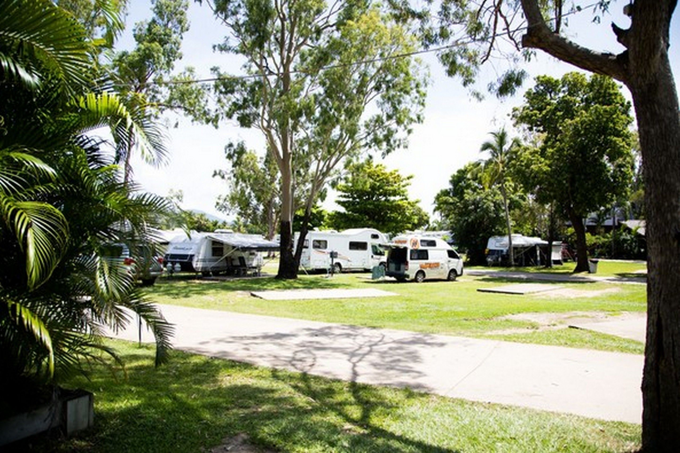 Ein Campingplatz mit Reisemobilen und Wohnwagen, die auf grünen Flächen geparkt sind, umgeben von Bäumen.