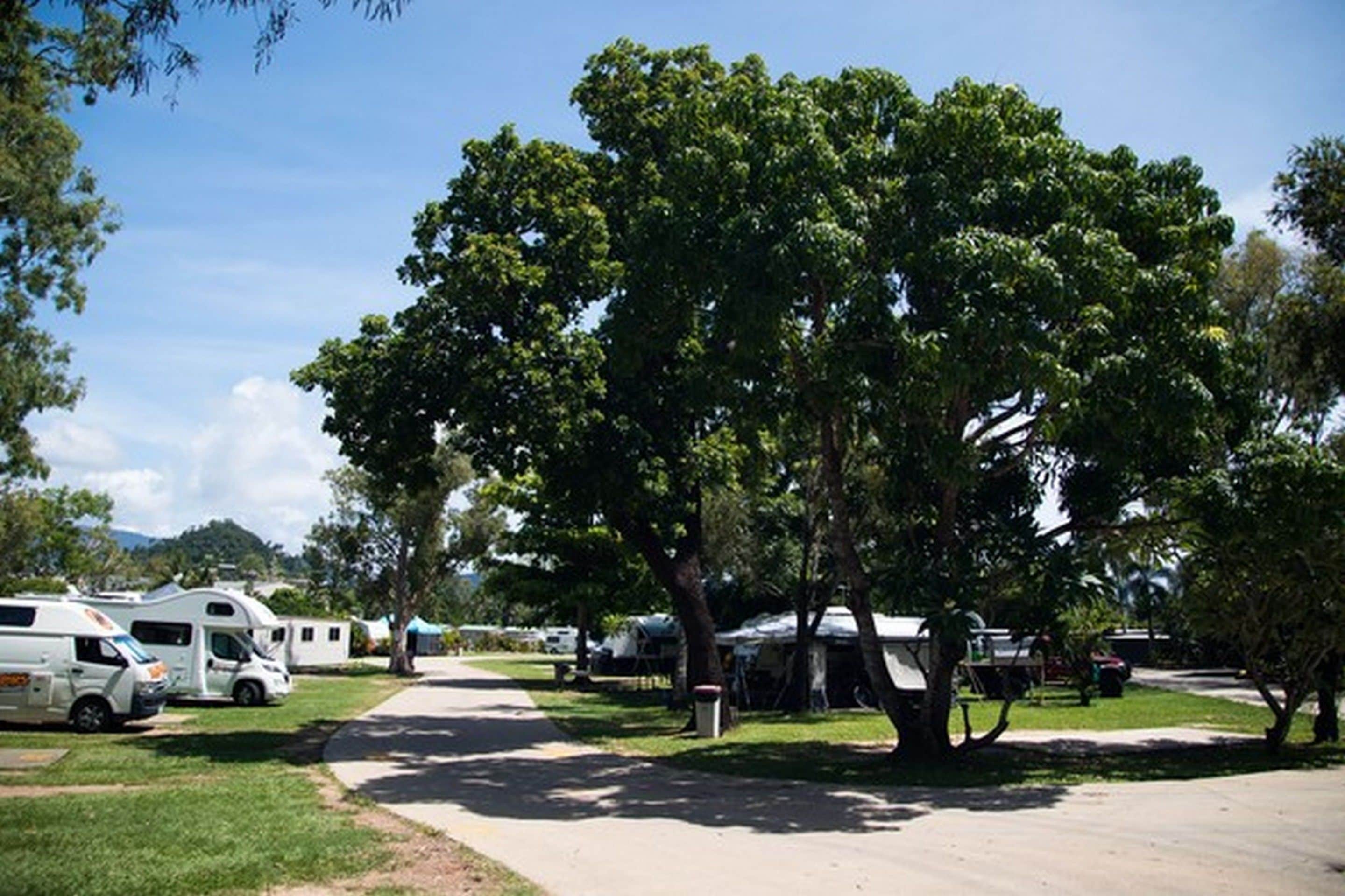 A campground with RVs parked along a paved path, surrounded by trees and grassy areas.