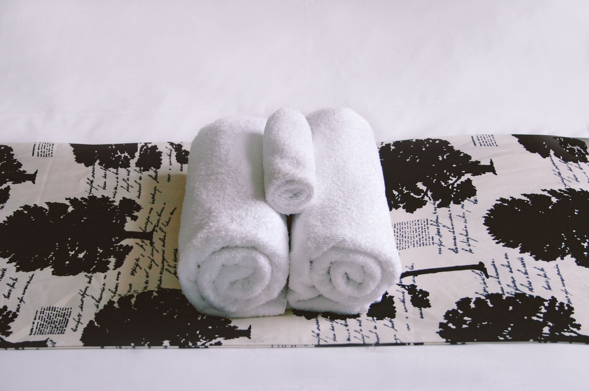 Foto - Parnell Pines Hotel