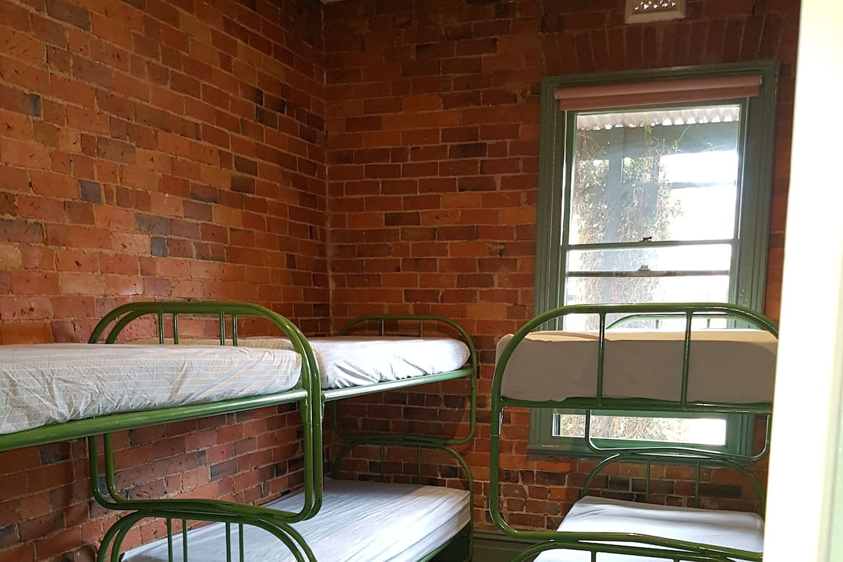 A dormitory room with three bunk beds, a brick wall, a window, and a carpeted floor.