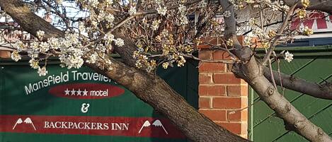 Señal de Mansfield Travellers Lodge & Backpackers Inn con un árbol en primer plano.