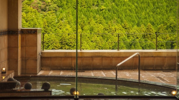 Zona benessere con piscina, vista su un verde pendio e parete divisoria in vetro.
