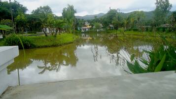 Deluxe Room | Terrace/patio