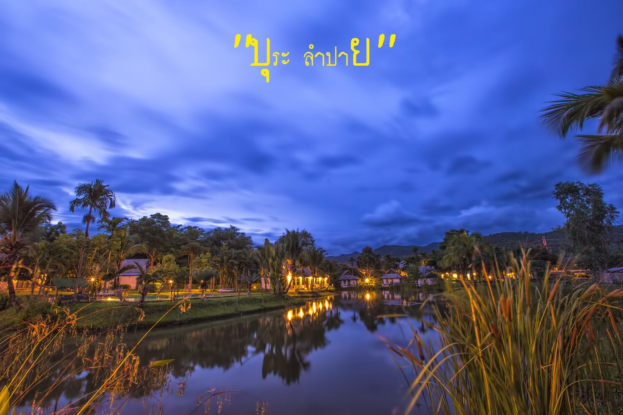 Vista nocturna de una zona junto al lago con edificios y palmeras.