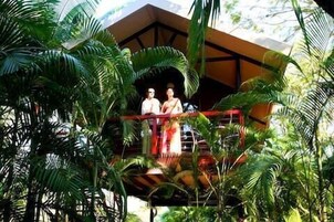 A wooden structure with a balcony, surrounded by dense tropical foliage.