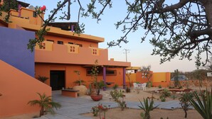 Jardín