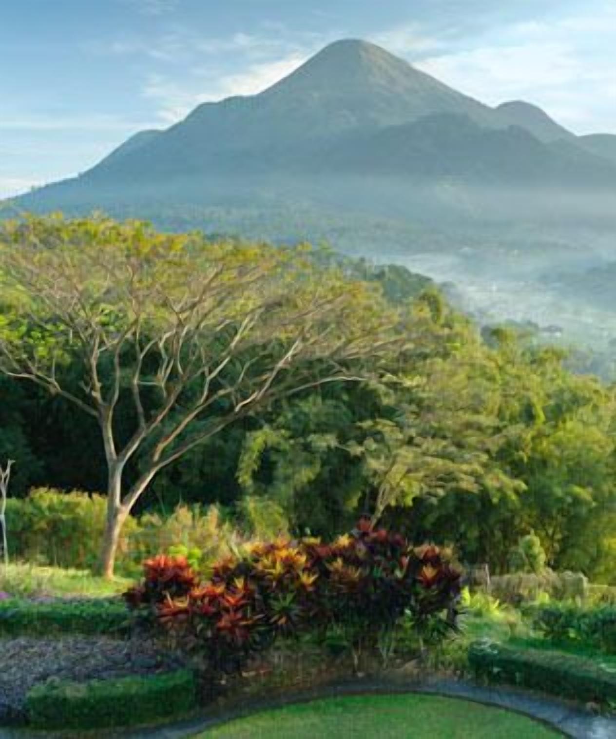 A mountain landscape with a prominent peak, lush greenery, and a well-maintained garden area in the foreground.