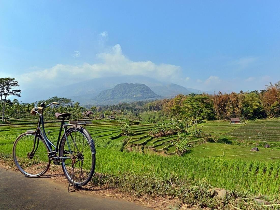 Una bicicleta estacionada al borde de una carretera, con campos de cultivo escalonados y una montaña al fondo.