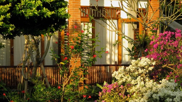Ein Garten mit verschiedenen Pflanzen und Blumen, ein Backsteinhaus mit Holzbalken und ein Baum.