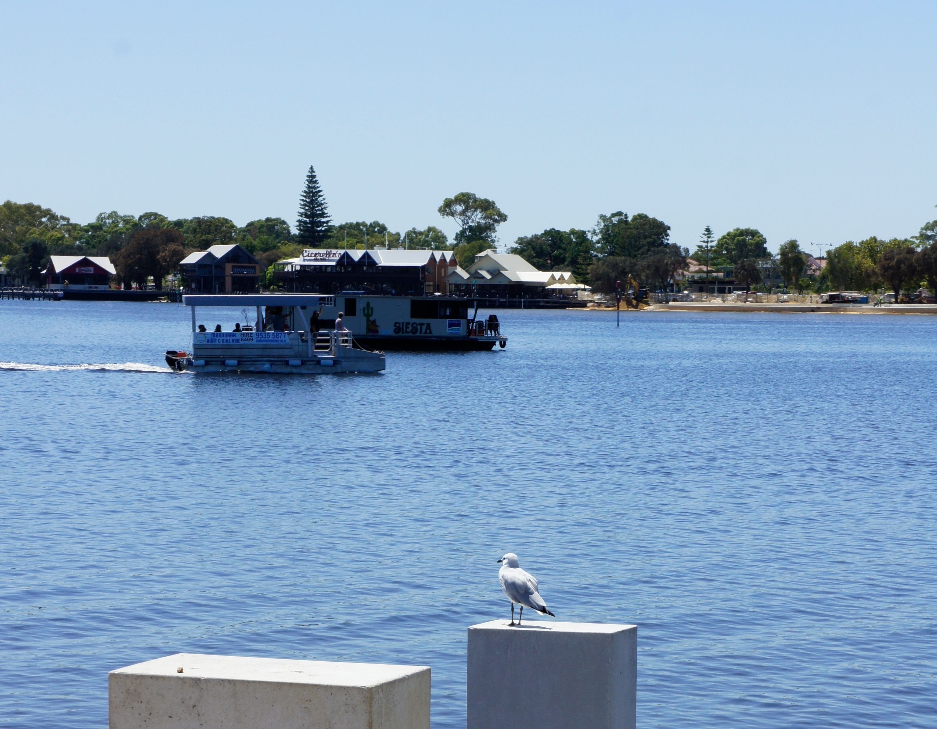 A waterfront view with a boat and a seagull on a concrete structure.