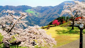 A park with cherry blossoms, a bench, and a clock. - Ikoinomura Heritage Minoyama (Minano)