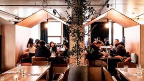 Een restaurant met houten tafels en stoelen, een plant in een pot in het midden en natuurlijk lichtinval door ramen.