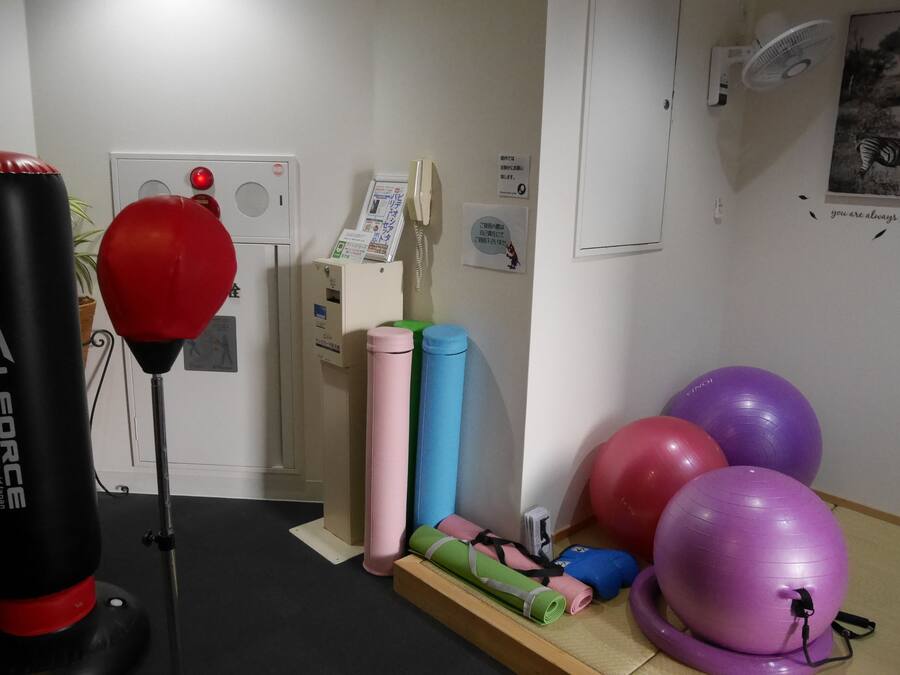 A room with a punching bag, exercise balls, and a phone.