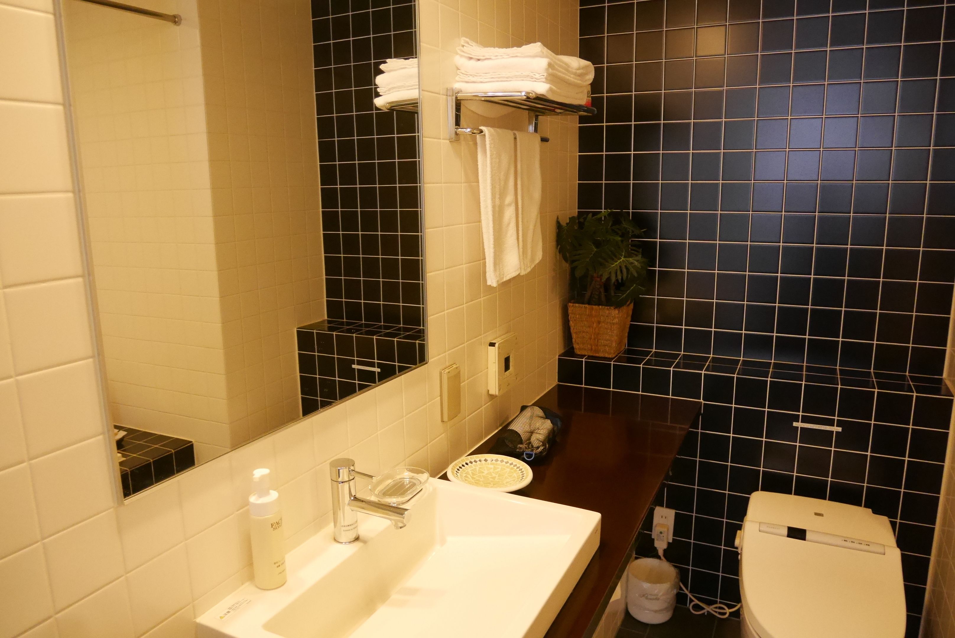 combined shower/bathtub, free toiletries, hair dryer, bathrobes