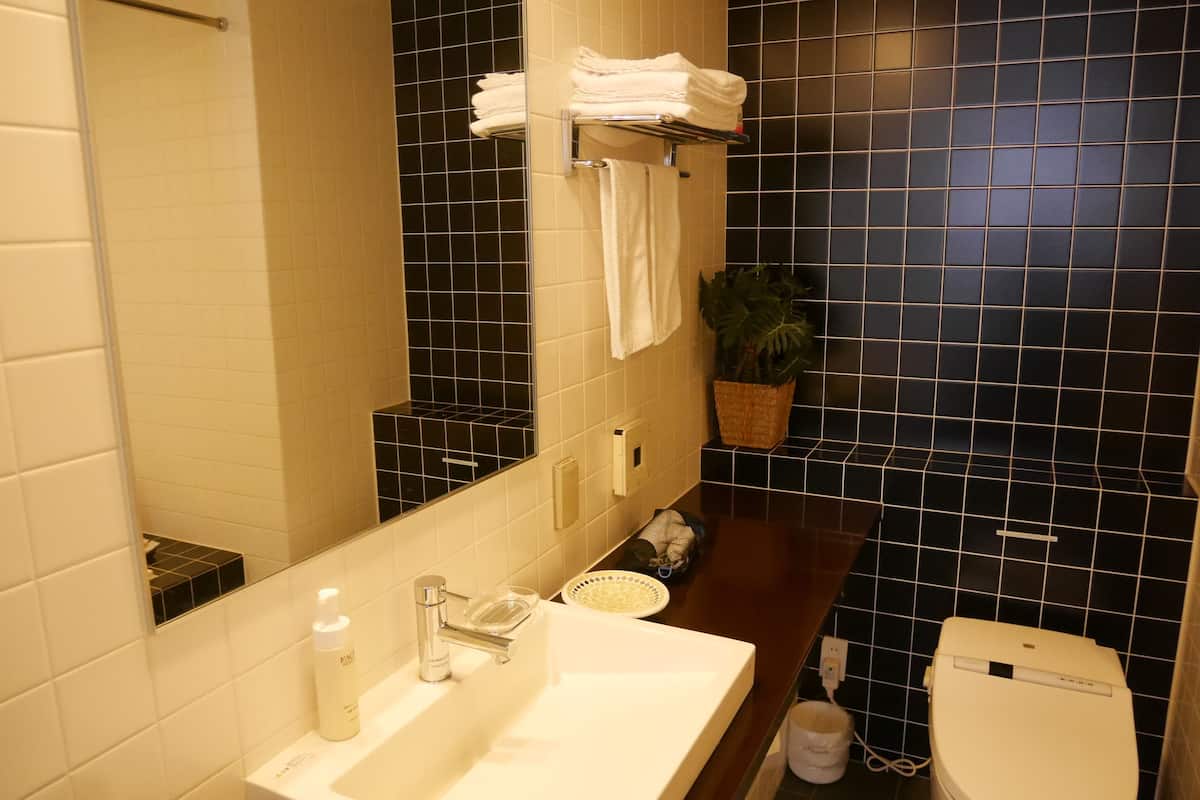 combined shower/bathtub, free toiletries, hair dryer, bathrobes