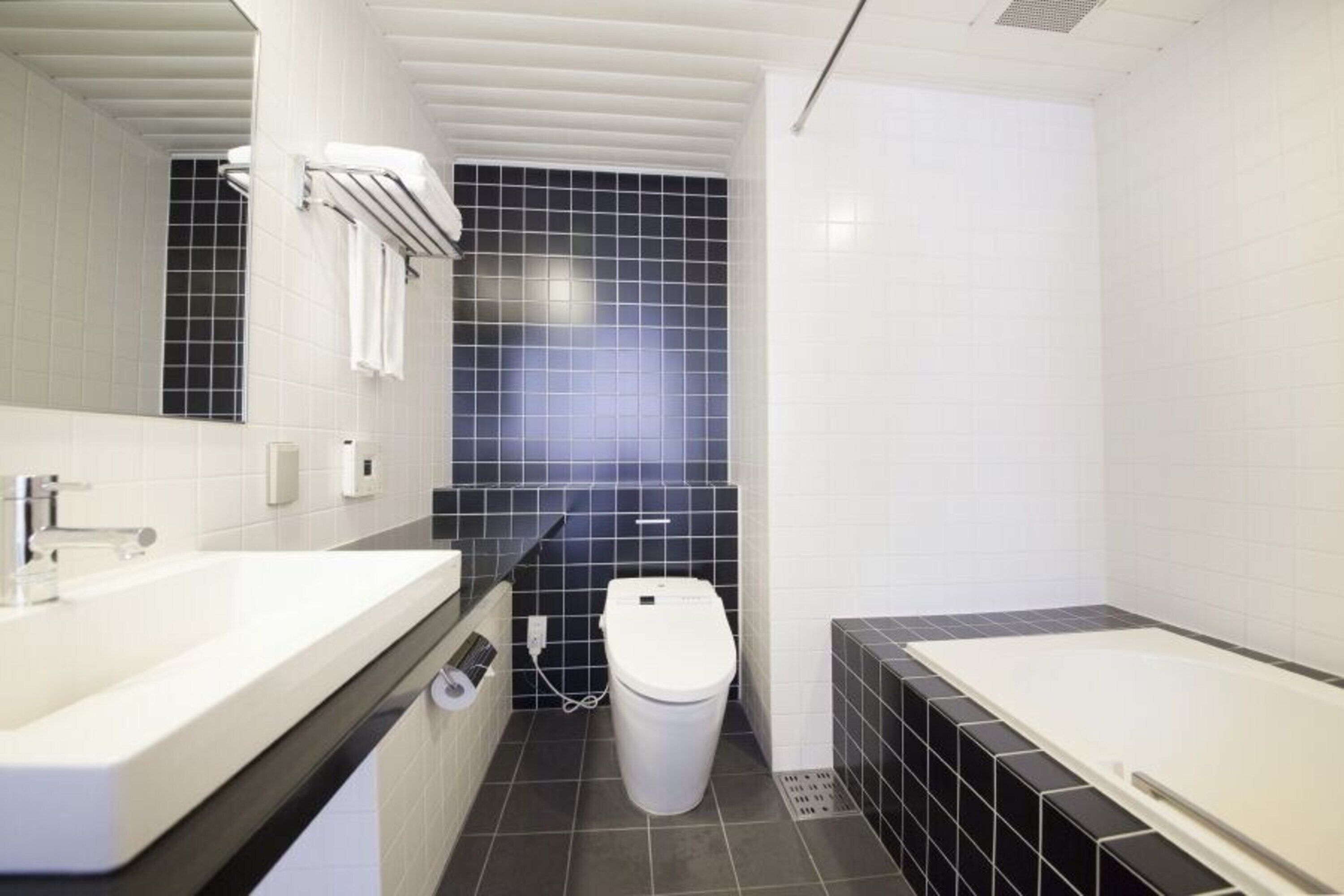 combined shower/bathtub, free toiletries, hair dryer, bathrobes