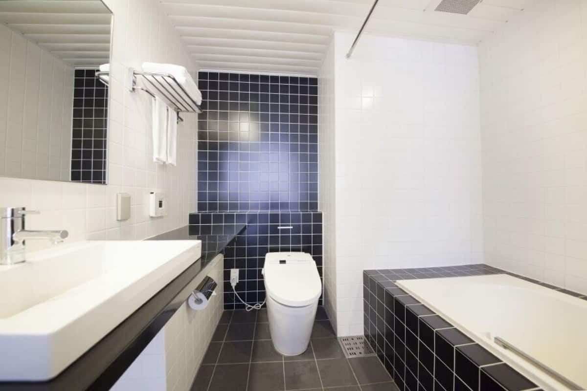 combined shower/bathtub, free toiletries, hair dryer, bathrobes