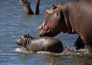 Instalaciones deportivas