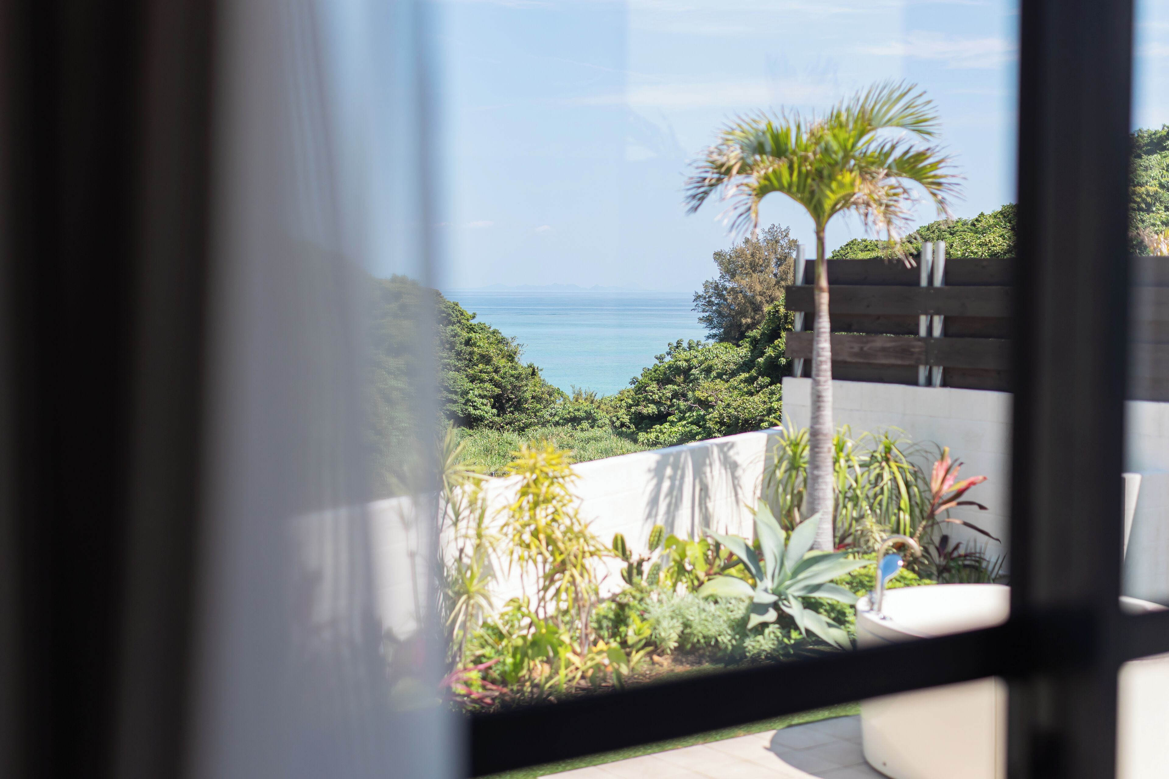 Blick durch ein Fenster auf einen Balkon mit einer Palme, verschiedenen Pflanzen und einem Gewässer im Hintergrund.