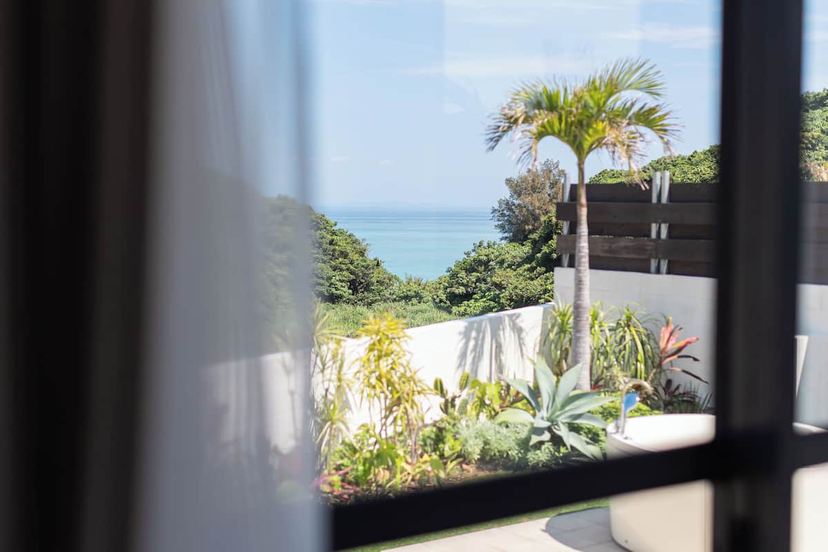 Uitzicht door een raam op een balkon met een palmboom, diverse planten en een waterlichaam op de achtergrond.